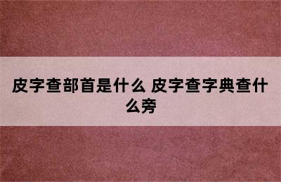 皮字查部首是什么 皮字查字典查什么旁